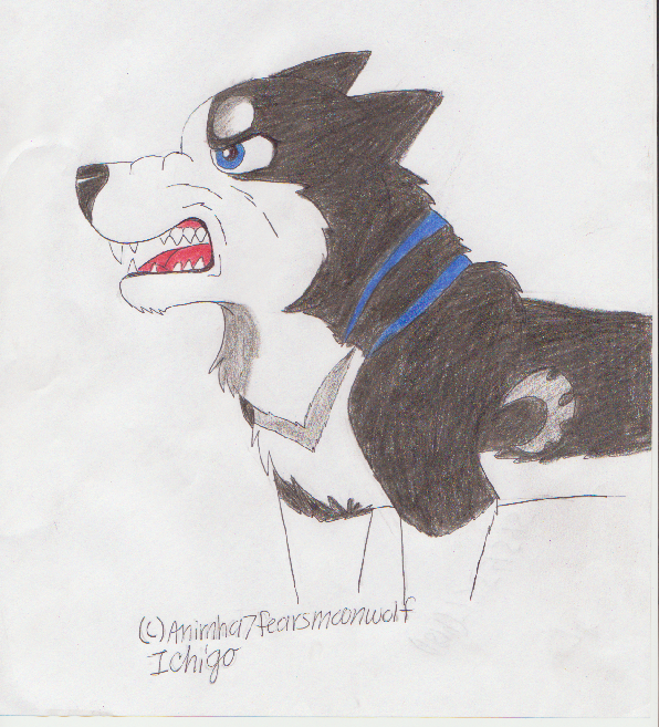 Art trade with Animaha7fearsmoon!