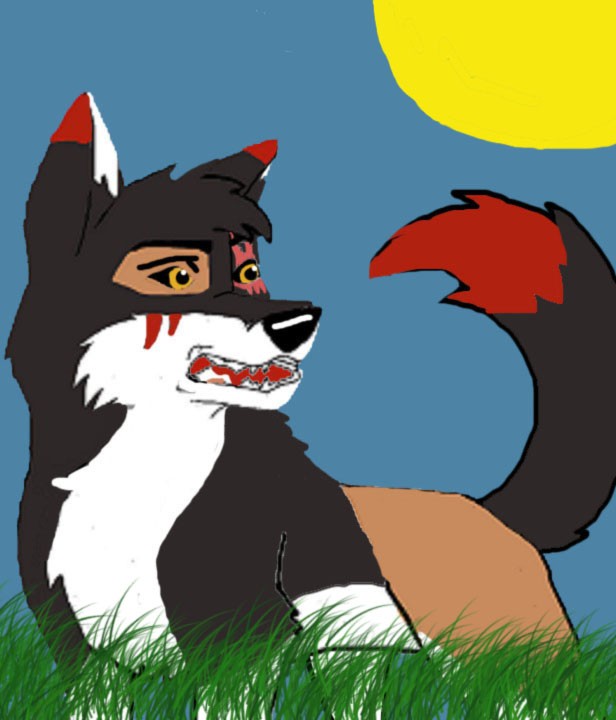 Zuko 4 Zucat!