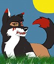 Zuko 4 Zucat!