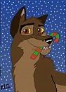 Christmas time for giving!