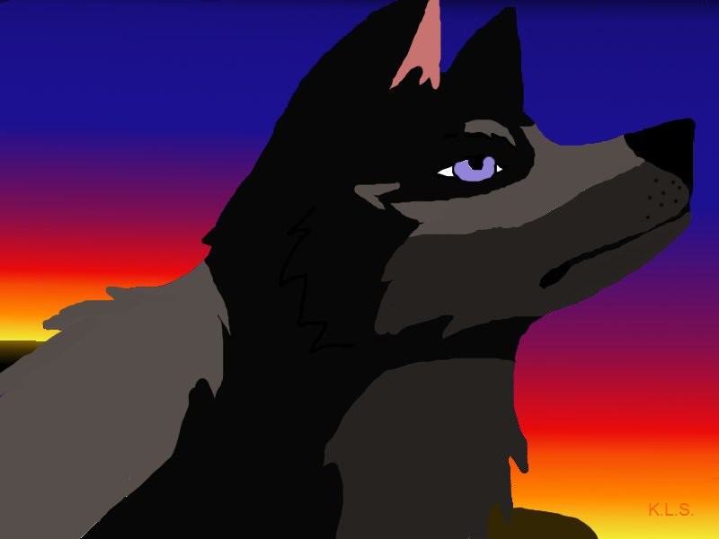 Daeron for Artic Wolf