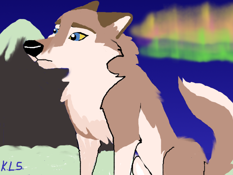 Aleu and northern lights