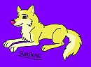 Sunshine drawing