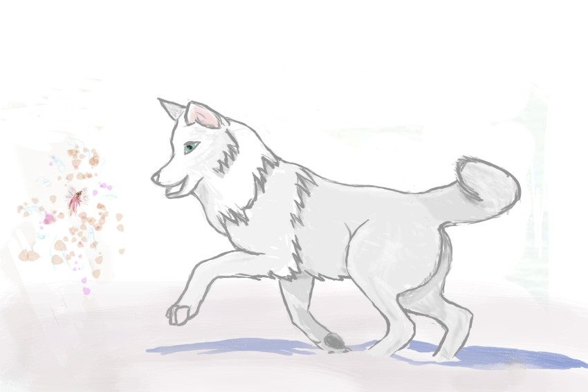 White Wolf
