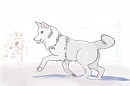 White Wolf