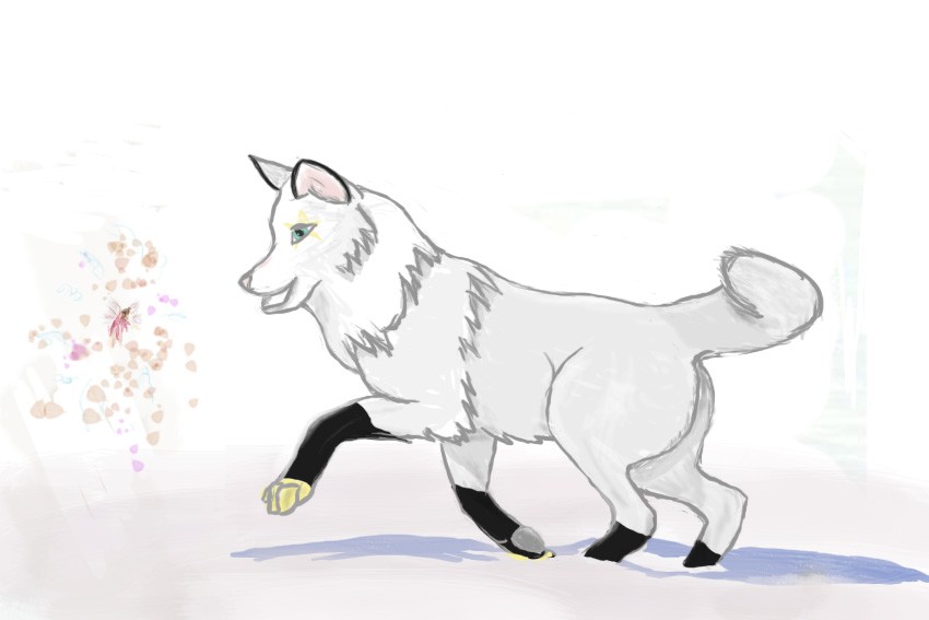 Nightstar For Natticat8