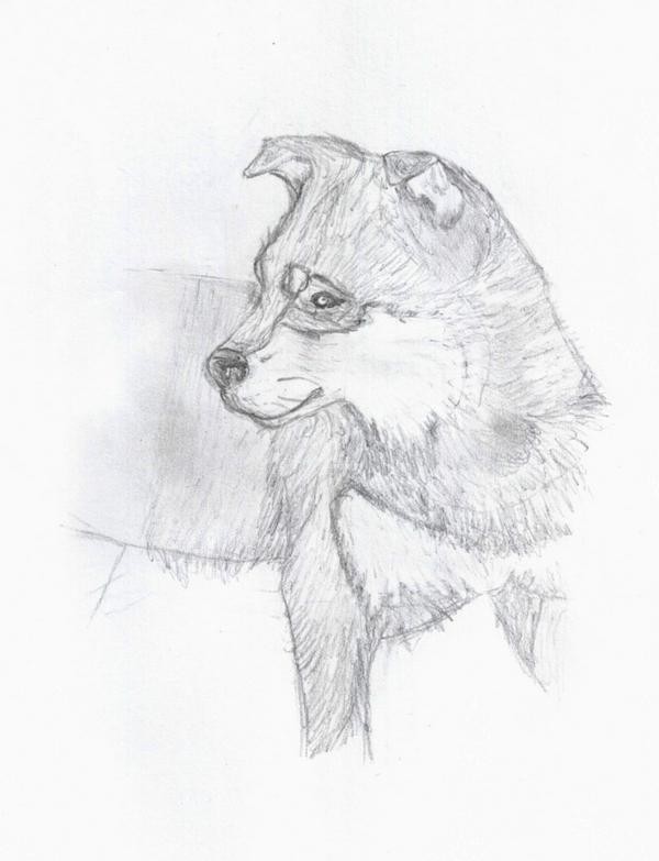 Balto