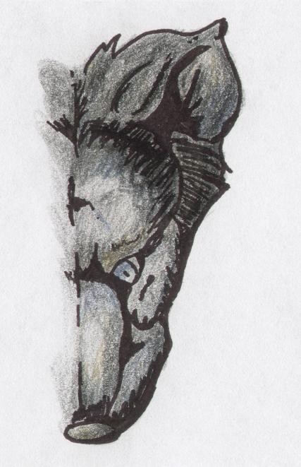 Wolf Face