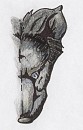 Wolf Face