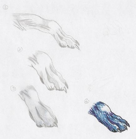 Feet