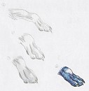 Feet