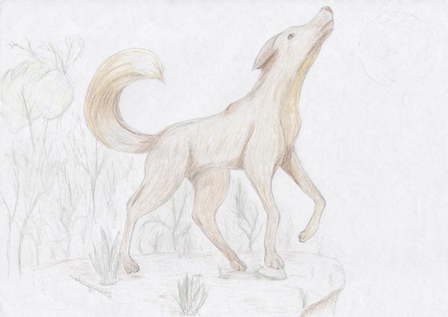 Howling Wolf