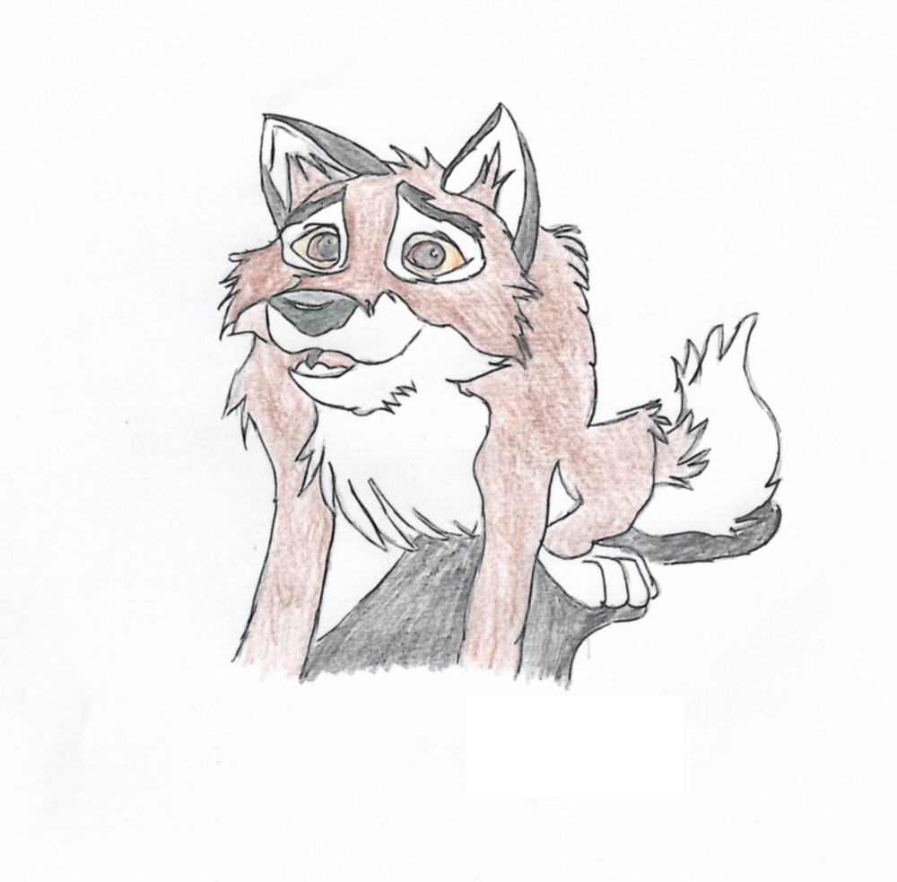 Balto at the door