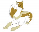 Request from Nippon-Okami