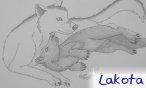 lakota