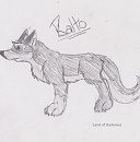 Black and White Balto 