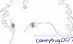 laneybug007