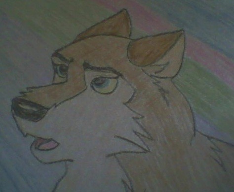 Aleu
