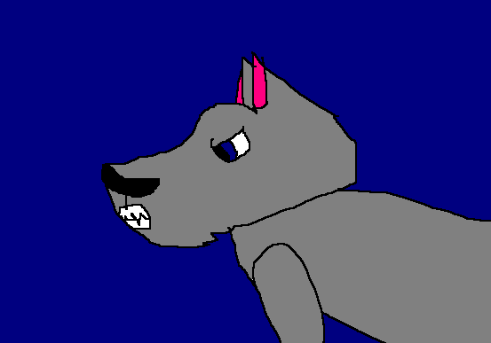 What is he growling at?