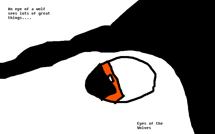 An eye