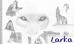 Larka