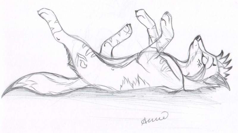 akida sleepy