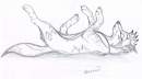 akida sleepy