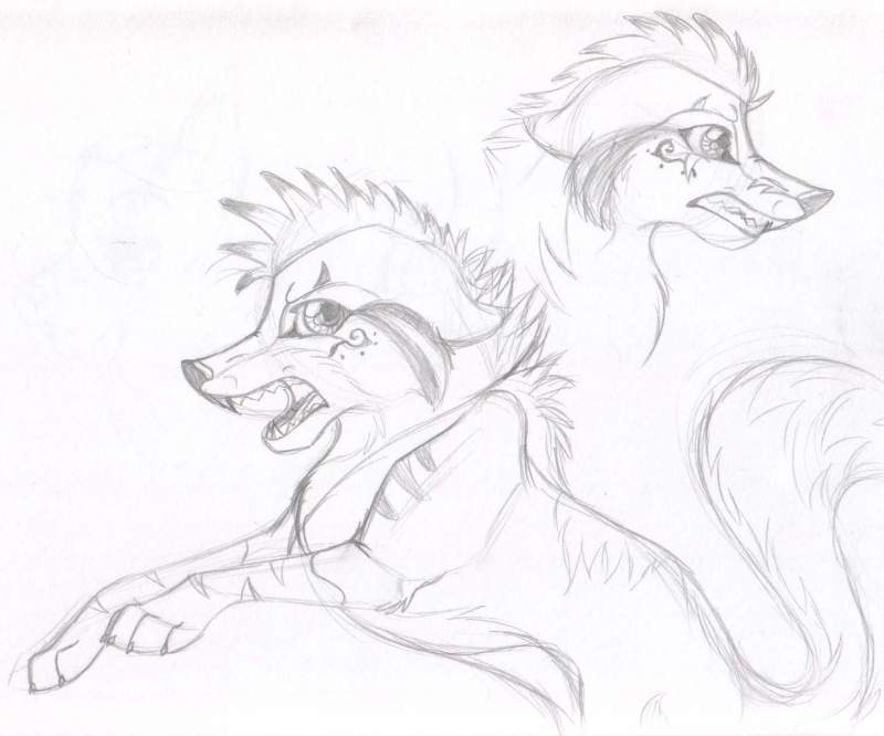 Akida snarly
