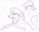Akida snarly