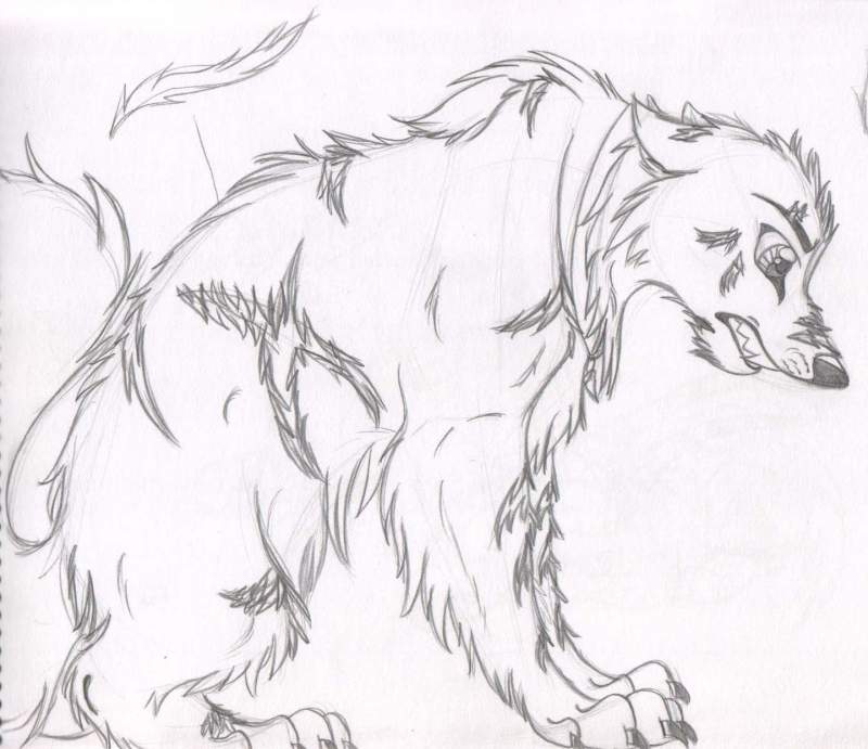 Falcor sketch
