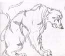 Falcor sketch