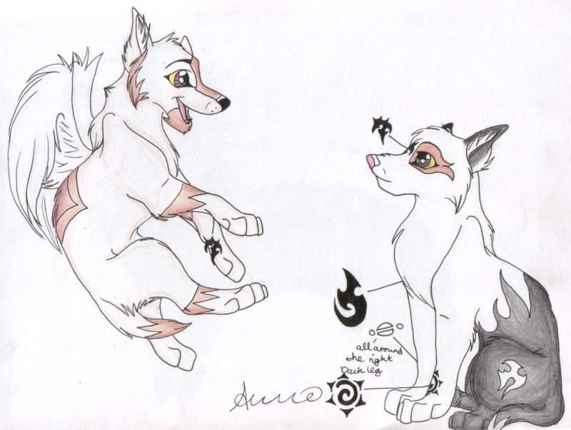 Pegasus and Willow ref