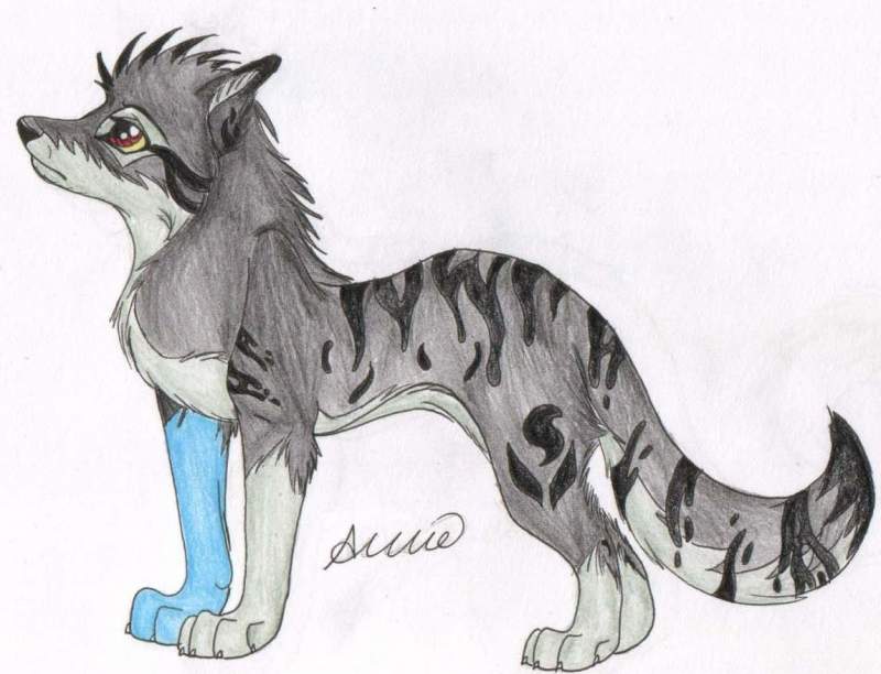 Shadowshift ref