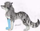 Shadowshift ref