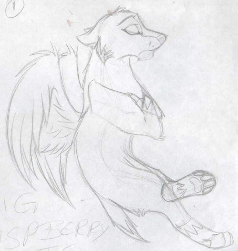 Sketchy Pegasus