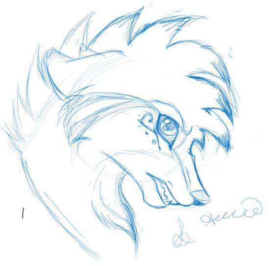 Aki snarly