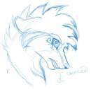 Aki snarly