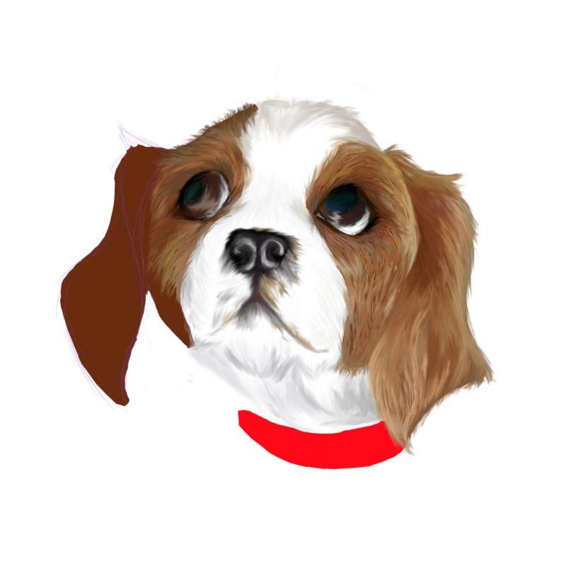 Fido puppy WIP