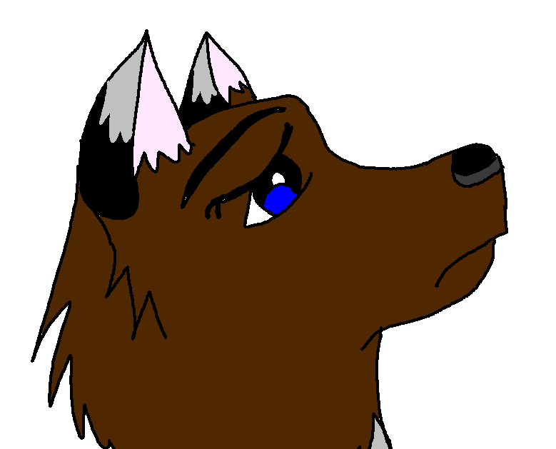 My First Animation Ever!!