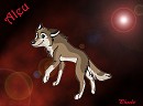 Aleu