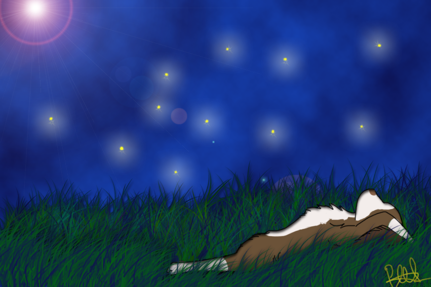 Fireflies