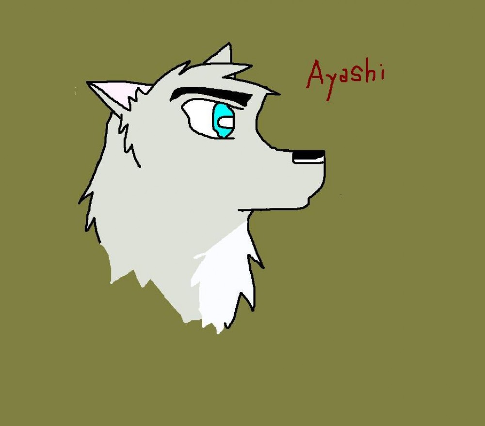 Ayashi