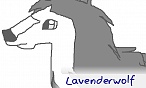 lavenderwolf