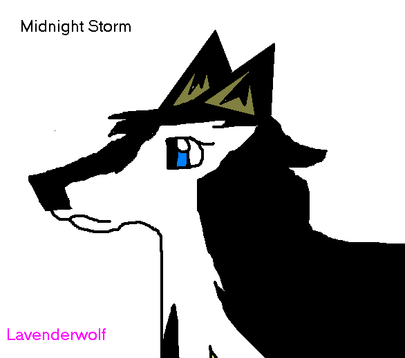 Midnight Storm