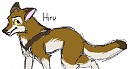 New char- Hiru