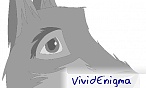 VividEnigma