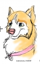 Lexi Headshot
