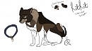 KitKit redesign fool