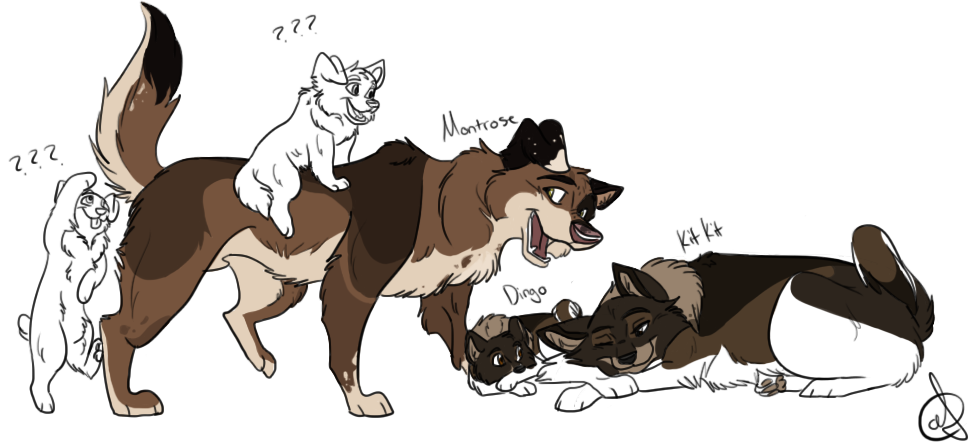 KITKIT MONTROSE PUPS 