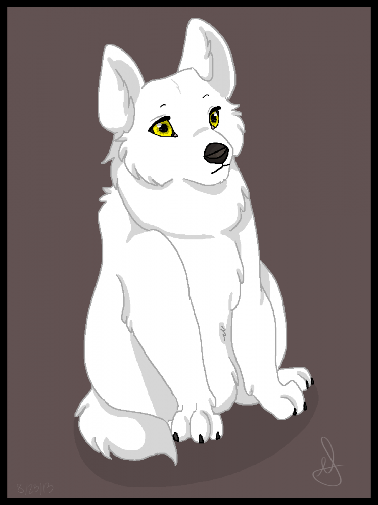 Pup Aniu